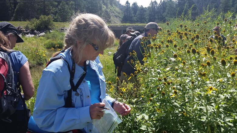 One of the class participants puts the training into practice, working on identifying a particular plant, Aug. 17, 2016. 