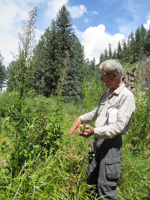 Instructor Robert Sivinski talks about how to identify wetland plants during the field trip to New Mexico wetlands, Aug. 17, 2016. 