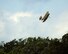 A radio-controlled model of a 1905 Wright Flyer, the airplane the Wright Brothers called the first practical airplane, takes to the air over Huffman Prairie Flying Field at Wright-Patterson Air Force Base, Ohio, as part of the Great Wright Brothers Aero Carnival Sept. 10, 2016. The annual event, at the site the Wright Brothers learned to fly, celebrated the role the area played in early aviation. (U.S. Air Force photo / R.J. Oriez)