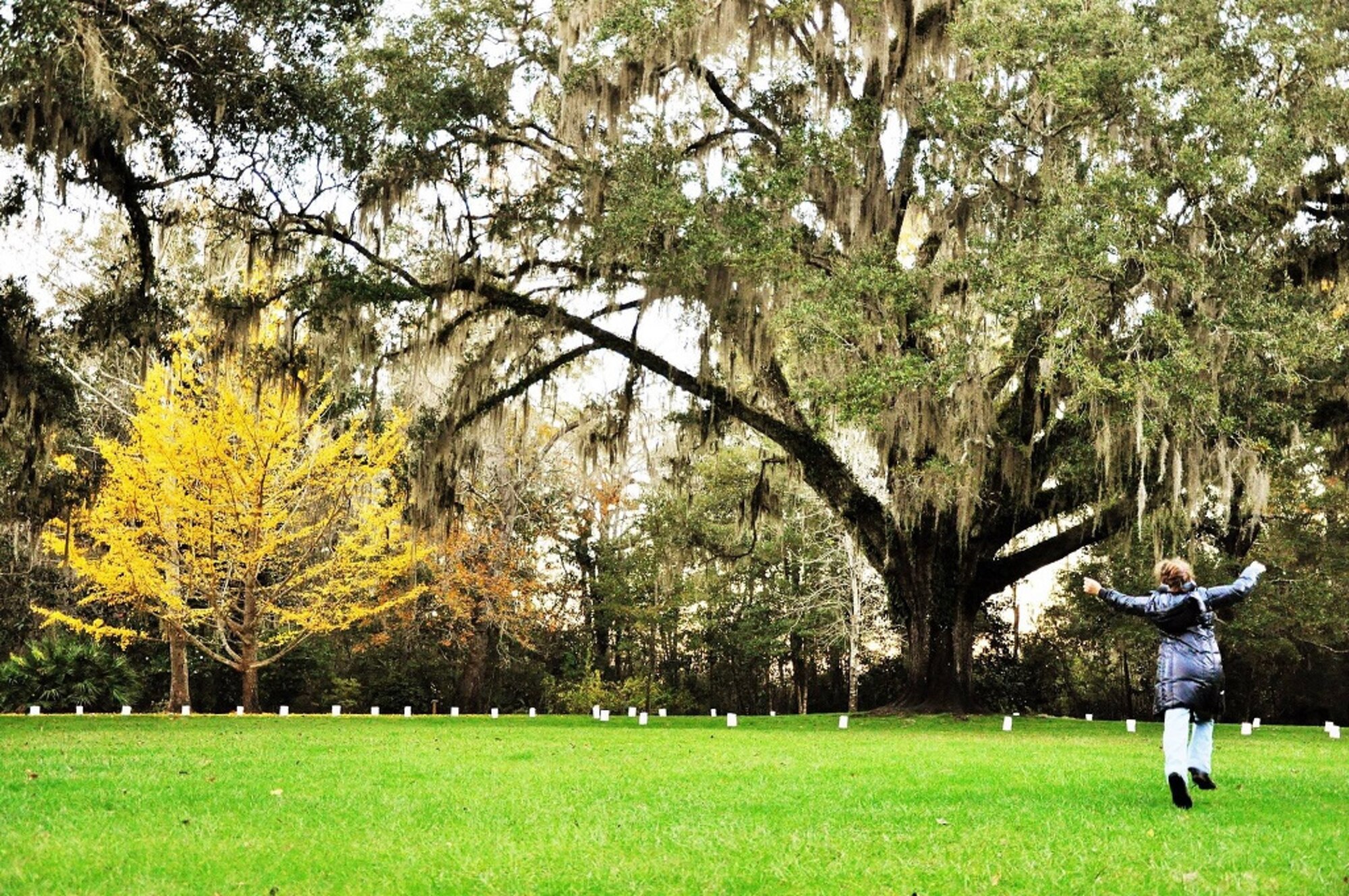 Gianna Archer’s photo, “The World Is My Playground,” won third place in the 9-12 years category of the My Air Force Life in Focus contest. The 11-year-old, whose family is stationed at Eglin Air Force Base, Fla., aspires to become a film director. The 2016 Air Force photography contest, judged by professional photographers, attracted 537 entries from all experience levels. The Air Force Services Activity-sponsored contest was open to authorized patrons of Air Force force support squadron programs. (Photo by Gianna Archer)