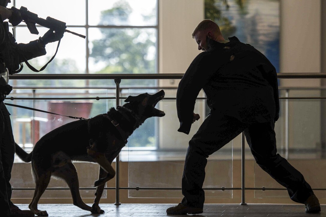 Soldiers participate in a training exercise at the Fort Belvoir Community Hospital at Fort Belvoir, Va., September 13th, 2016. Army photo by Sgt. Cody W. Torkelson
