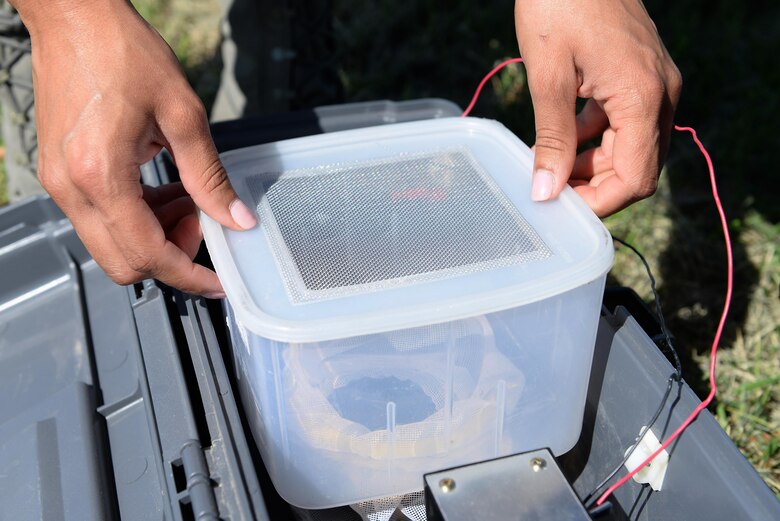 Airman 1st Class Robin Brown, 47th Medical Group public health technician, ensures her mosquito trap is sealed properly, Laughlin Air Force Base, Texas, Sept. 8, 2016. The specialized mosquito trap utilizes a human-like-scent to lure and contain mosquitos that will be tested for the Zika virus. (U.S. Air Force photo Airman 1st Class Benjamin N. Valmoja)