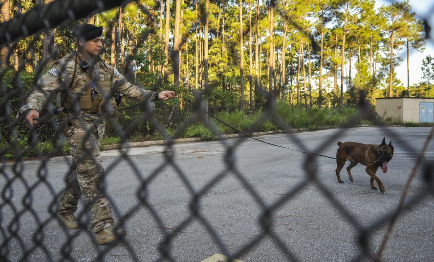 Staff Sgt. George Garcia, a military working dog handler with the 1st Special Operations Security Forces Squadron, responds to a call with Ziko, a military working dog, during an exercise at Hurlburt Field, Fla., Sept. 15, 2016. Air Commandos participated in a three-day exercise to hone real-world emergency response capabilities.  (U.S Air Force photo by Airman 1st Class Joseph Pick)