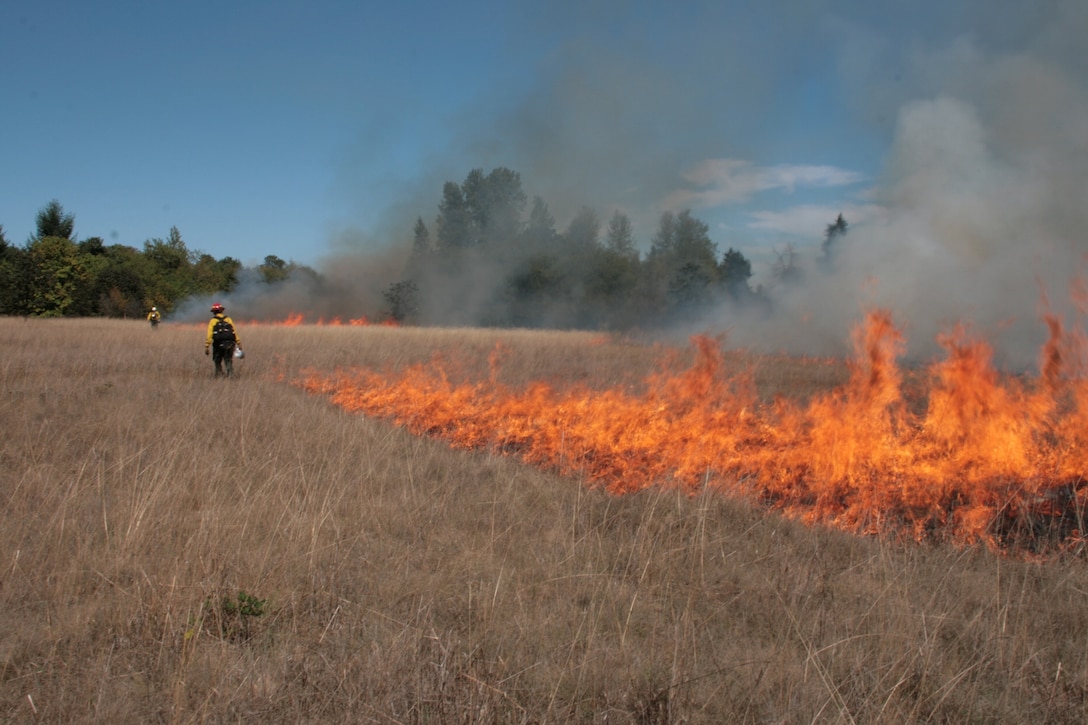 (File photo) Ecological burn fire crews conduct a controlled burn to manage and restore natural areas in various parts of the Willamette Valley. Burns benefit plant and animal communities, particularly endangered plants and butterflies. Photo courtesy of U.S. Army Corps of Engineers