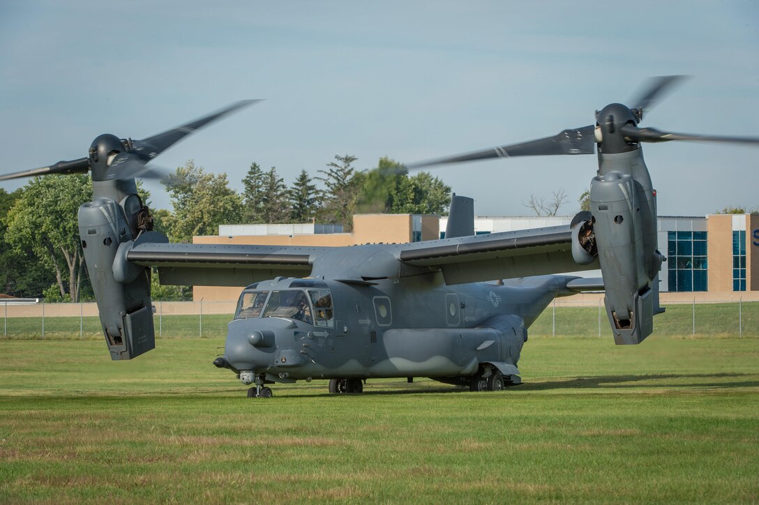 hornet osprey