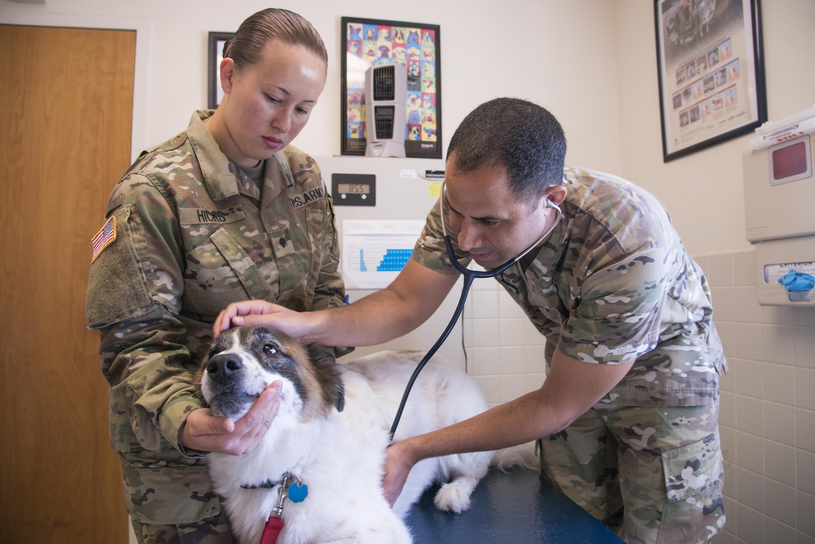 U.S. Army Capt. William Baskerville (right), 959th Clinical Support Squadron veterinarian, assesses Rocco as Spec. Sarah Hicks, veterinary technician, holds him during an appointment Sept. 9, 2016 at the Joint Base San Antonio-Randolph veterinary clinic. Veterinary treatment facilities at JBSA-Fort Sam Houston, JBSA-Lackland and JBSA-Randolph provide services to keep animals healthy and to prevent or treat sickness and diseases early on.
