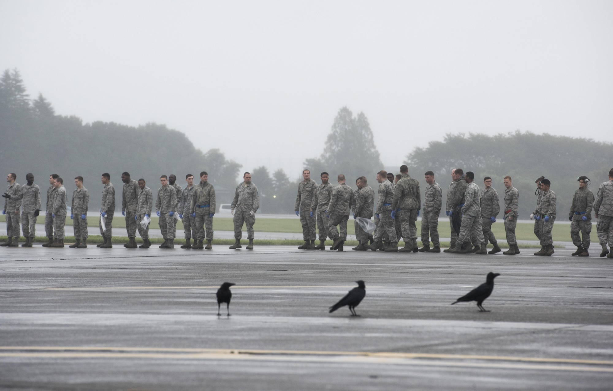 Airmen line up on the flightline to conduct a foreign-debris walk at Yokota Air Base, Japan, Sept. 19, 2016. More than 135,000 people attended the 2016 Japanese-American Friendship Festival the two- days prior. (U.S. Air Force photo by Staff Sgt. Cody H. Ramirez/Released)