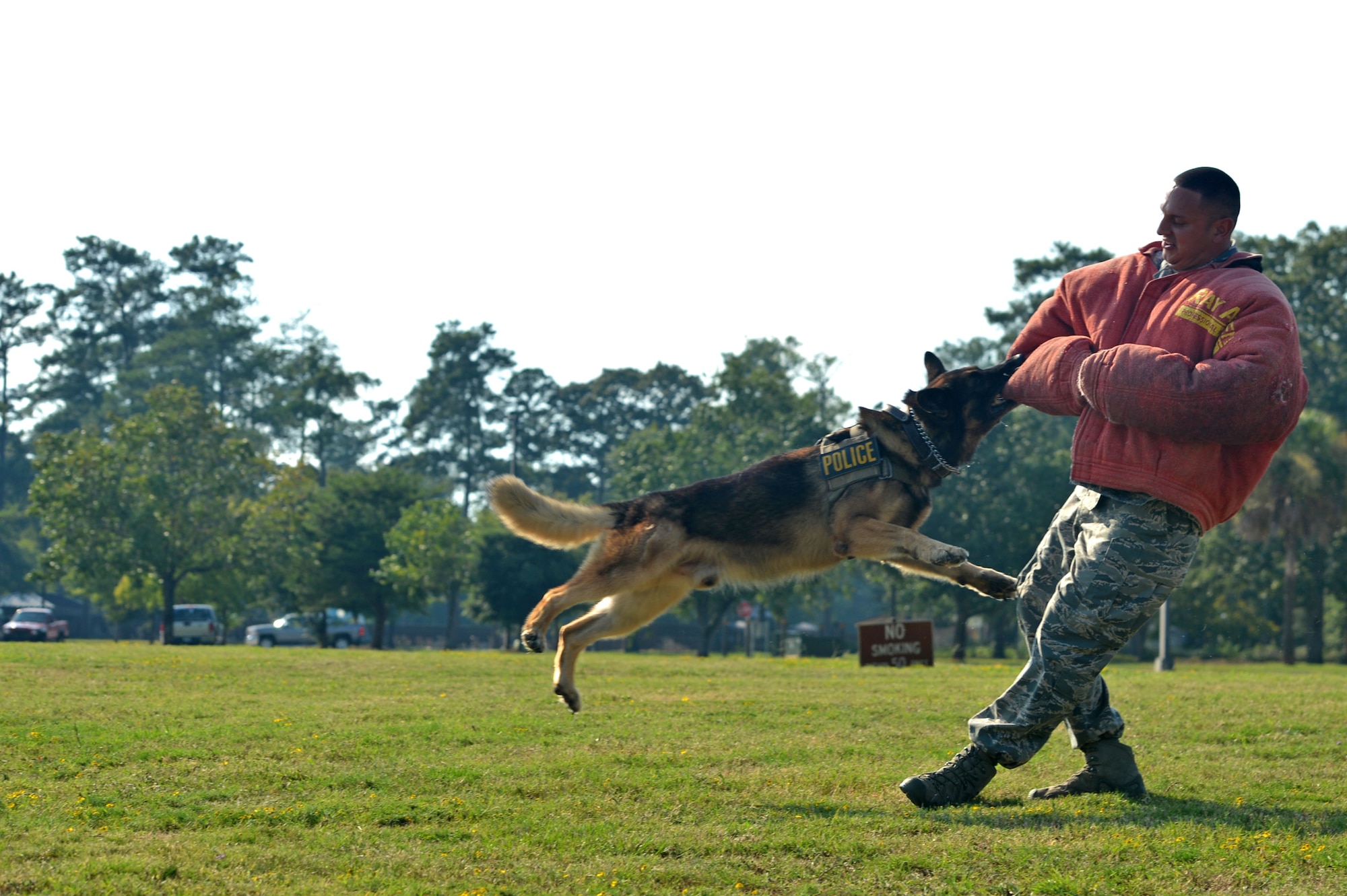 U.S. Air Force Staff Sgt. David Mussio, 20th Security Forces Squadron military working dog handler, performs a MWD demonstration during a “Defender for a Day” event at Shaw Air Force Base, S.C., Sept. 9, 2016. Airmen assigned to the 20th SFS showcased their duties for Jake Pritchard, 20th SFS honorary defender, and his family. (U.S. Air Force photo by Airman 1st Class Christopher Maldonado)