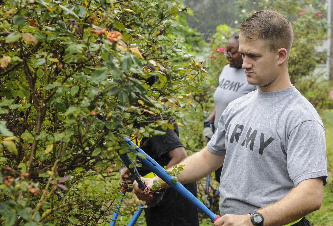 Army Spc. Greyson Oswalt-Smith, an intelligence analyst of the G2, 335th Signal Command (Theater), prunes rose bushes to help the non-profit organization Keep East Point Beautiful at Sumner Park in East Point, Georgia Sept. 17, 2016. The 335th SC (T) regularly engages in community events such as assisting Keep East Point Beautiful prune, groom and clean up the area as part of the Keep America Beautiful rose garden project which is in it's 25th year. (U.S. Army photo by Sgt. Stephanie A. Hargett) (Released)