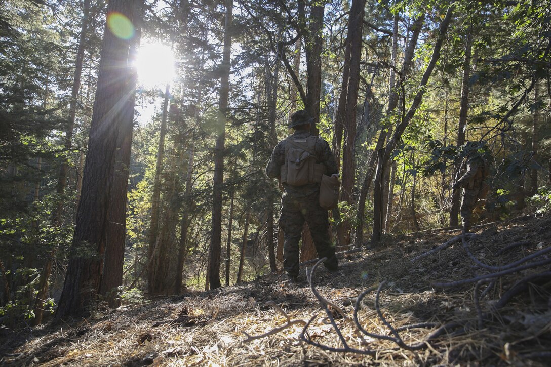 Marines with Company K, 3rd Battalion, 4th Marine Regiment, navigate through the woods at Marine Corps Community Services Big Bear Recreation Center, Big Bear Lake, Calif., Sept. 7, 2016. The fallen trees and steep terrain offer cover and concealment while challenging the Marines physically as they conduct long distance patrols. 