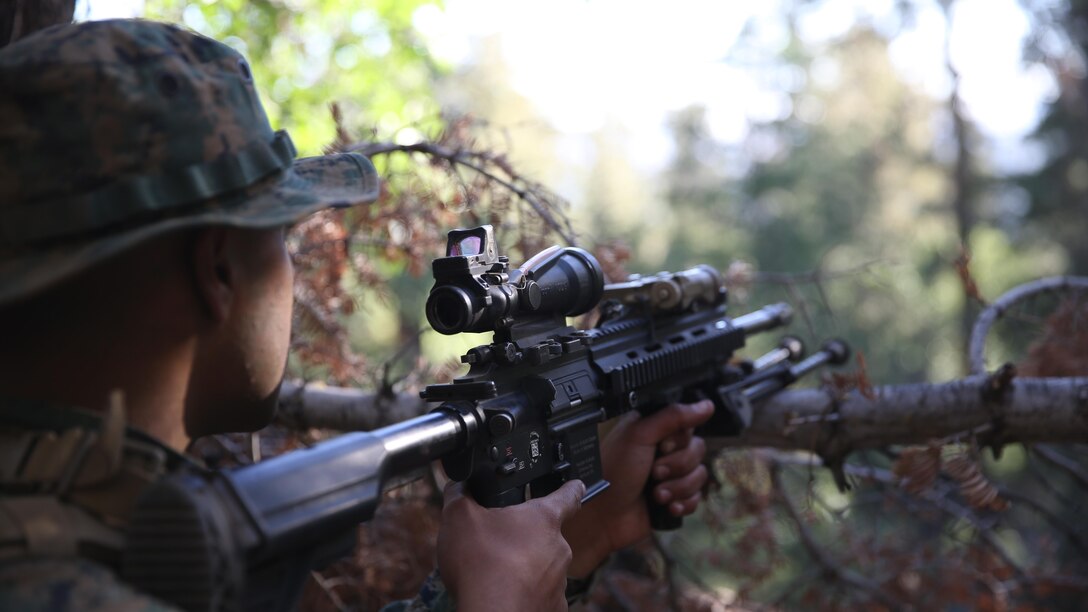 A Marine with Company K, 3rd Battalion, 4th Marine Regiment, looks over a fallen branch during a security halt in the mountains of Marine Corps Community Services Big Bear Recreation Center, Big Bear Lake, Calif., Sept. 7, 2016. The forests of Big Bear Lake provide unique cover and concealment opportunities unlike the training ground of Marine Corps Air-Ground Combat Center Twentynine Palms, California.  