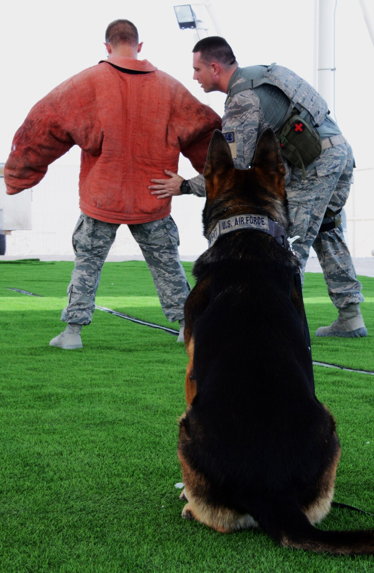 Grim, 379th Expeditionary Security Forces Squadron military working dog, stands by as Staff Sgt. Jacob Brown, 379th ESFS MWD handler, inspects an individual during a training scenario Sept. 15, 2016, at Al Udeid Air Base, Qatar. There are two main types of MWDs in the Air Force: explosive detector dogs and narcotic detector dogs. In addition, the MWDs can also be trained to bite and hold suspects to affect an apprehension.  (U.S. Air Force photo/Senior Airman Melissa Buonanducci/Released)