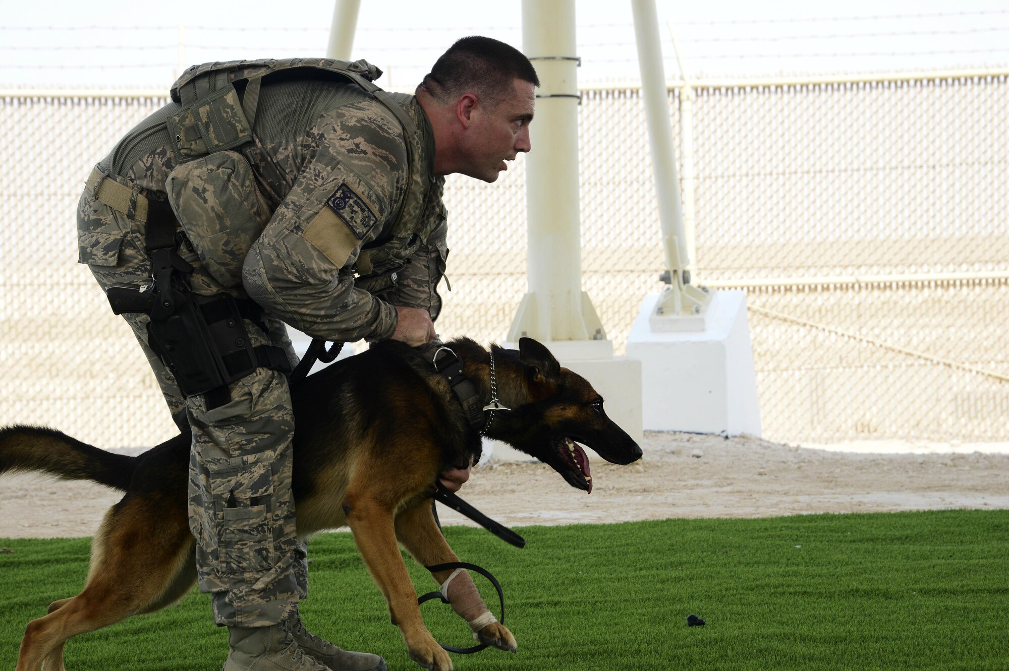 Staff Sgt. Jacob Brown, 379th Expeditionary Security Forces Squadron military working dog handler, restrains his dog, Grim, during training Sept. 15, 2016, at Al Udeid Air Base, Qatar. MWD’s main mission at AUAB is to maintain a secure operating environment by preventing the introduction of explosives onto the base through explosive detection. (U.S. Air Force photo/Senior Airman Janelle Patiño/Released)