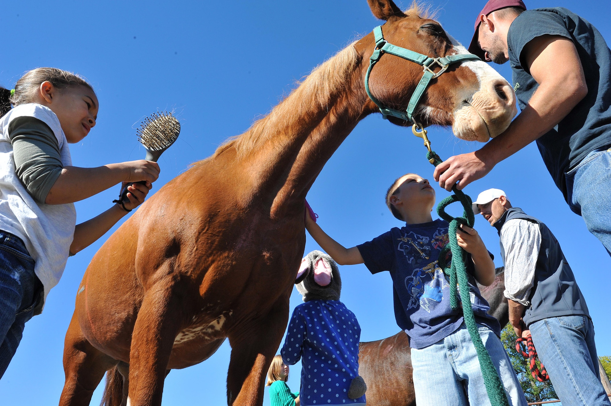 Children groom horses during an Equine Camp on Grand Forks Air Force Base, N.D. Sept. 17, 2016. The Grand Forks AFB Exceptional Family Member Program sponsored the camp which supported development in self-esteem, self-confidence and team building by encouraging children to interact with horses through different activities. (U.S. Air Force photo by Airman 1st Class Elijaih Tiggs)