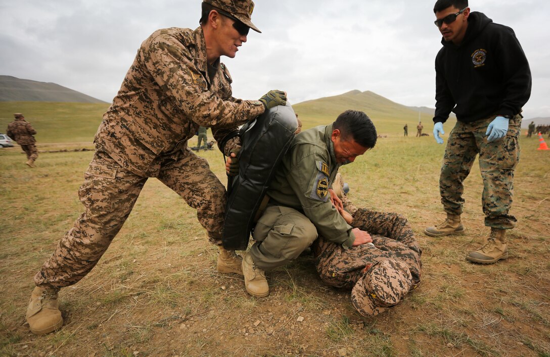 A Mongolian Armed Forces soldier executes a mechanical advantage control holds technique after being sprayed with oleoresin capsicum during Non-Lethal Weapons Executive Seminar (NOLES) 2016 at the Five Hills Training Area, Mongolia, Sept. 17, 2016. Mongolian soldiers and National Police were exposed to oleoresin capsicum spray and had to complete a five-level circuit course. Non-lethal weapons are designed to incapacitate equipment and personnel while minimizing fatalities and permanent injury to personnel, and undesired collateral damage to property. 