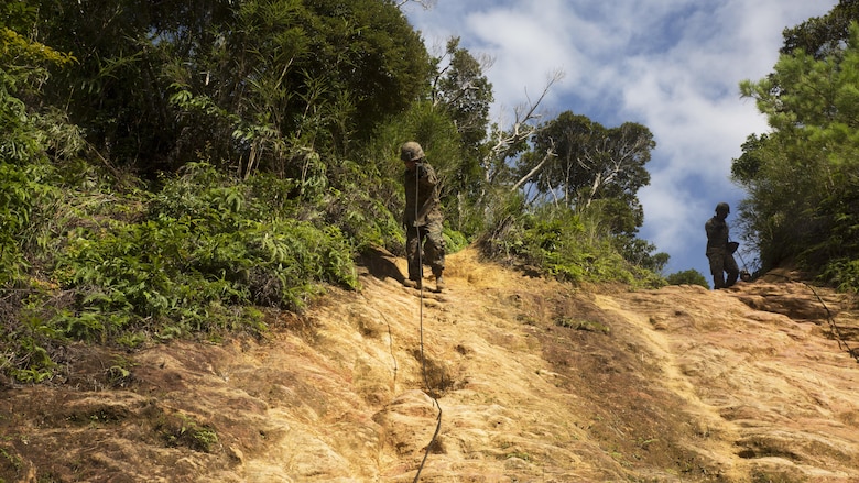 Marines hasty rappel down a steep hill Sept. 20 aboard the Jungle Warfare Training Center on Okinawa, Japan. Hasty rappelling is one of the many skills Marines must develop while training at JWTC. The training area stretches across more than 17,000 acres and is home to several rigorous courses through which Marines must navigate harsh terrain and climate-specific training in preparation for operations in the Asia-Pacific region.