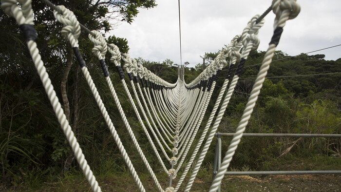 A three-strand obstacle sprawls over an open valley at the Jungle Warfare Training Center Sept. 20 on Okinawa, Japan. This obstacle is one of the 31 obstacles Marines must navigate during the culminating event of any JWTC course. JWTC is utilized for its harsh terrain and conditions to prepare Marines for operations in the Asia-Pacific Region and stretches over more than 17,000 acres.