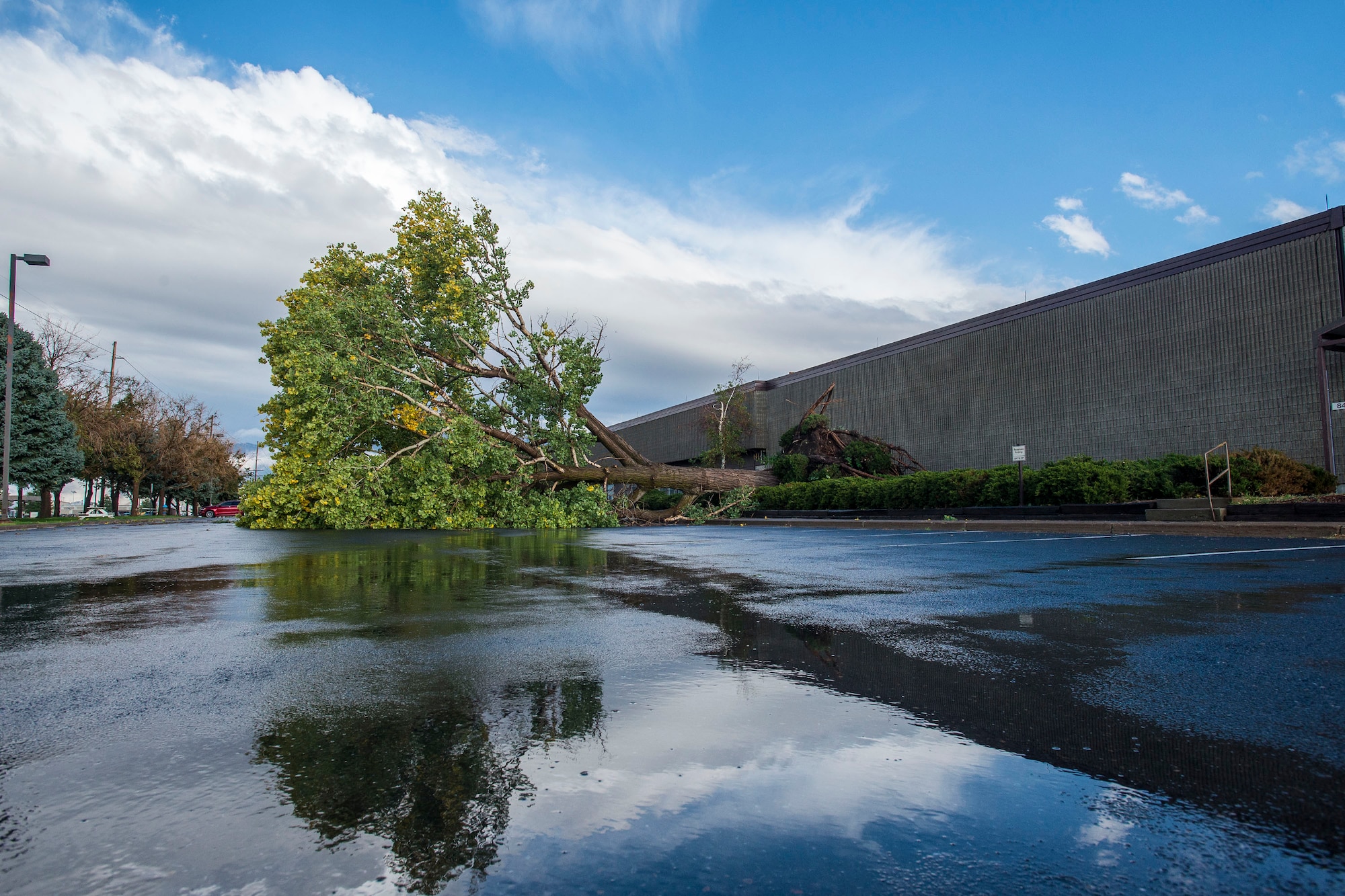 A large tree lies on its side in building 847’s parking lot Sept. 22. A fast-moving storm caused power outages, snarled traffic, and widespread damage across Hill Air Force Base. (U.S. Air Force photo by Paul Holcomb)