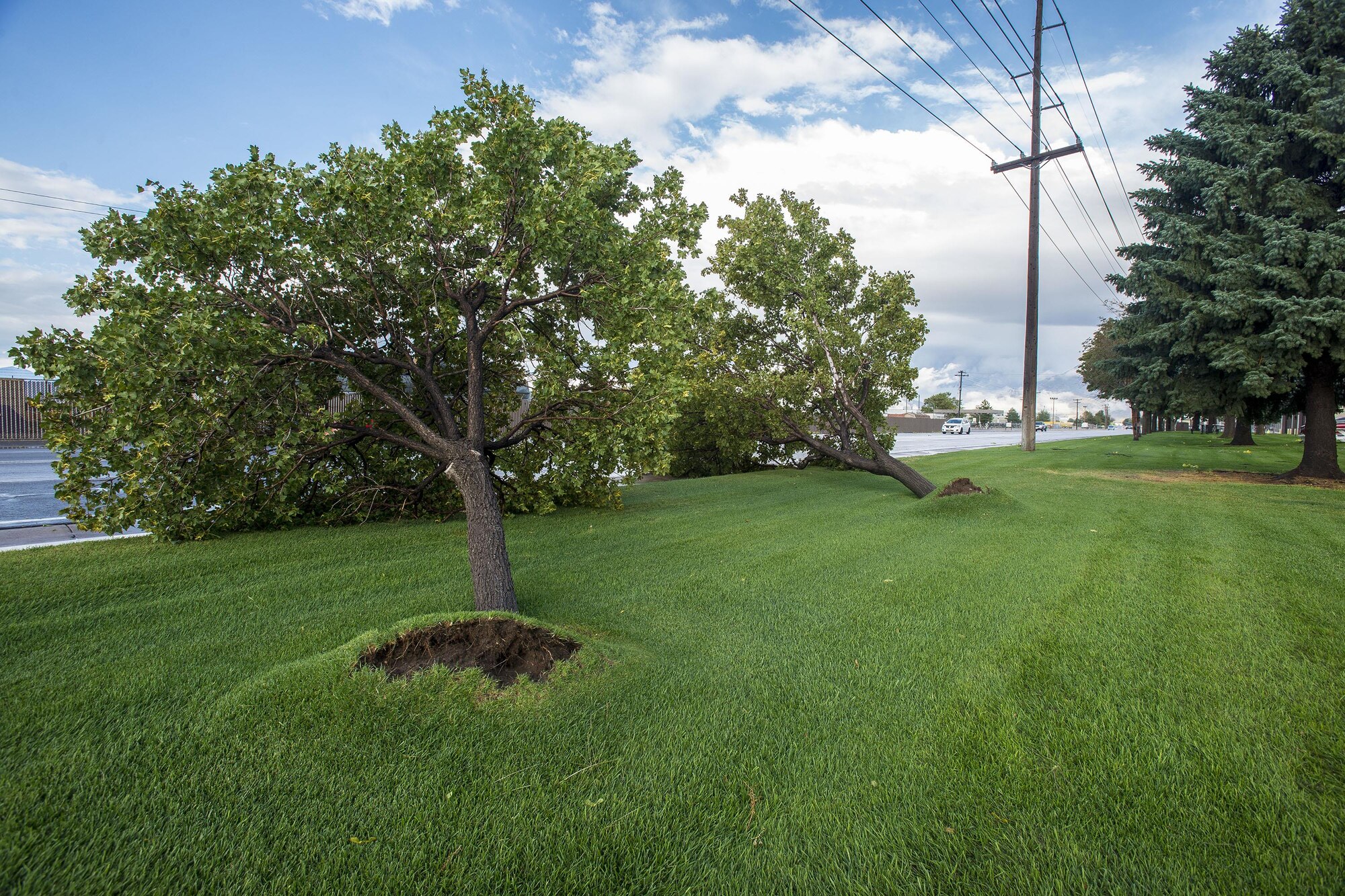 Downed trees impede Wardleigh Avenue on Hill Air Force Base, Sept. 22, following a storm that produced 77 mph winds. (U.S. Air Force photo by Paul Holcomb)