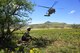 U.S. Air Force 1st Lt. Jaron Jablonski, 55th Rescue Squadron HH-60G Pave Hawk co-pilot, waits in concealment for rescue assets to arrive during a search and rescue exercise at Outlaw/Jackal military operations area in southeastern Ariz., Sept. 15, 2016. During the exercise, Jablonski played a simulated downed pilot with broken legs. During the extraction, an HH-60G Pave Hawk from the 55th Rescue Squadron was required to hover as close as possible in order to rescue Jablonski. (U.S. Air Force photo by Senior Airman Cheyenne A. Powers)