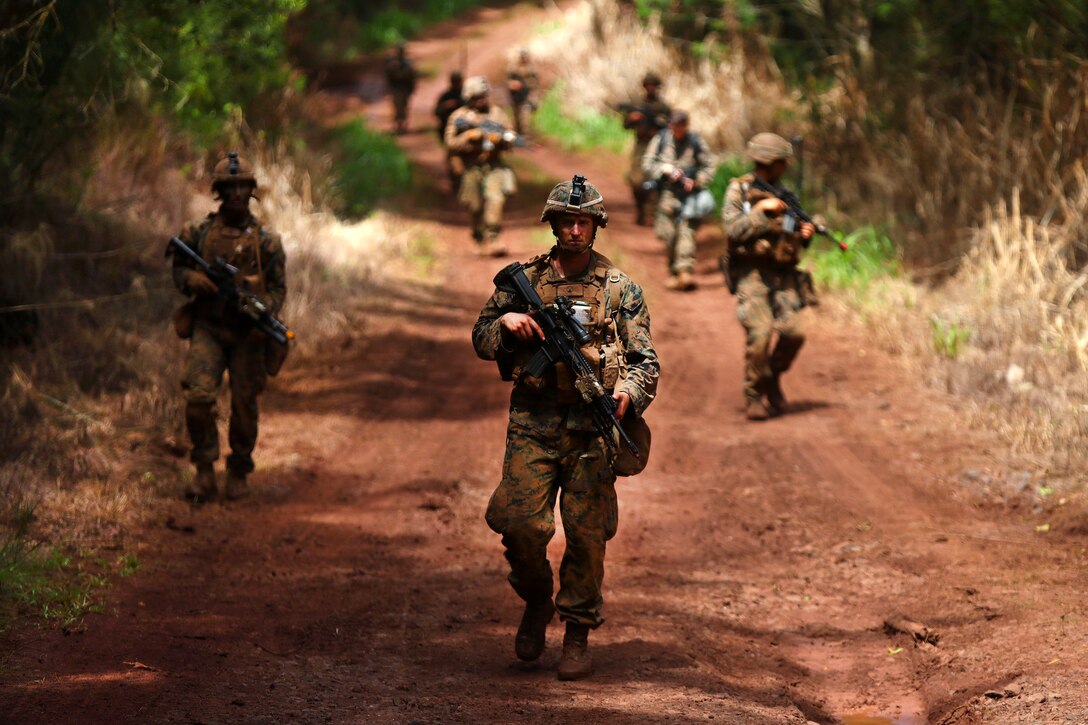 Marine Corps infantry squad leaders participate in a patrol during the advanced infantry course at Kahuku Training Area, Hawaii, Sept. 20, 2016. Marine Corps photo by Cpl. Aaron S. Patterson