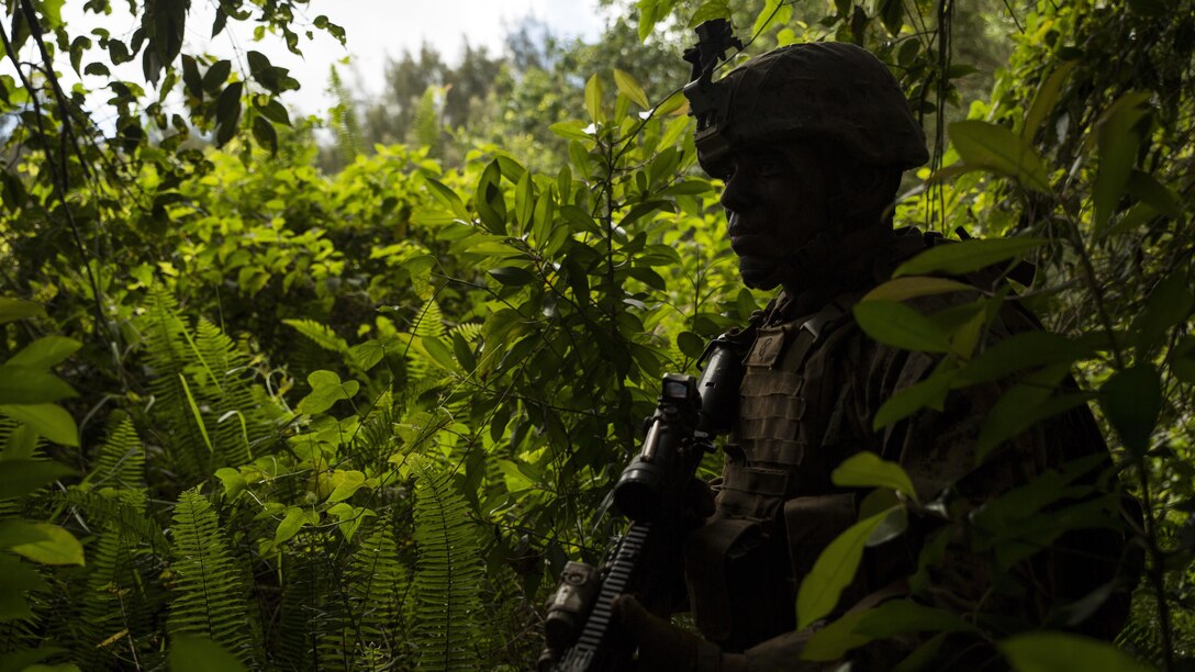 Lance Cpl. Anthony Acedo, a rifleman with Alpha Company, 1st Battalion, 7th Marine Regiment, and a Tuscon, Arizona, native, provides security during a patrol as part of a training exercise aboard the Kahuku Training Facility, Sept. 20, 2016. The exercise is part of a 7-week-long training event known as the Advance Infantry Course. The Advance Infantry Course, which is conducted by the Advance Infantry Battalion, Detachment Hawaii, is an advanced 0311 rifleman Military Occupational Specialty course for squad leaders who are currently serving in the operating field. 