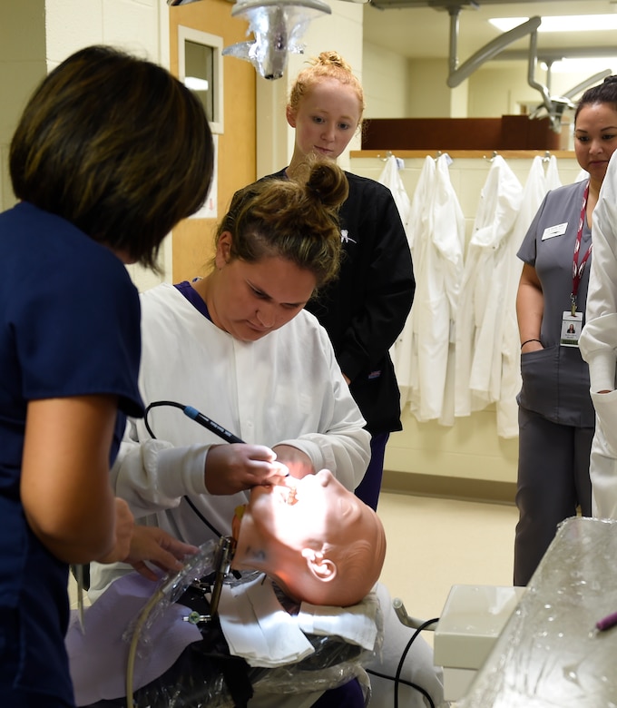 Dental hygienist students practice dental cleanings on a simulated patient at Trident Technical College, Charleston, South Carolina, Sept. 13, 2016. The students are civilian and active-duty service members training to become board certified dental hygienists.  The cooperative dental program consists of an 18-24 month curriculum. 