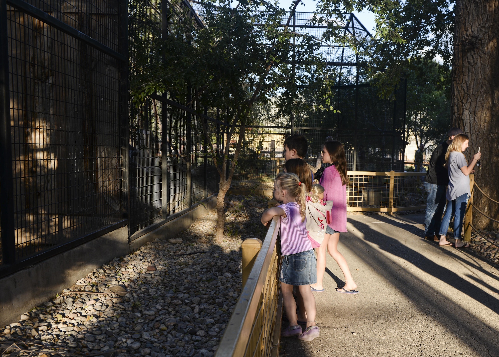 Children watch animals in an enclosure at the annual Zoo After Hours event at Alameda Park Zoo in Alamogordo, N.M. on Sept. 24, 2016. Military families were permitted to explore the zoo grounds after hours. (U.S. Air Force photo by Airman 1st Class Alexis P. Docherty)