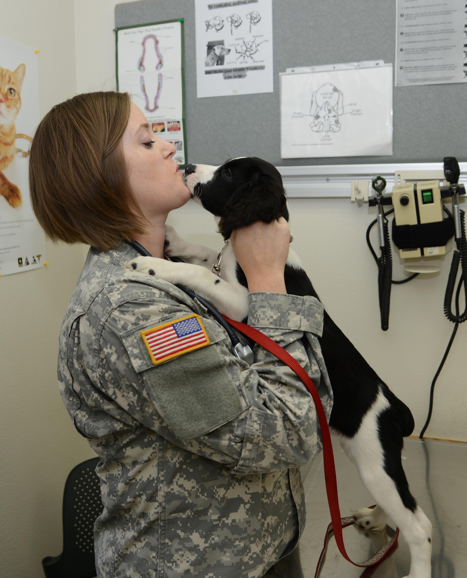 Gordon, a Springer Spaniel, cuddles up to Army Capt. Natalie Erker, Army Public Health Command District, Joint Base Lewis-McChord (Joint Base Elmendorf-Richardson branch) Veterinarian following an exam at the JBER Vet Clinic Aug. 31. The vet clinic advises pet owners to bring their pets in for annual exams to ensure long-term health. (U.S. Air Force photo by Staff Sgt. Wes Wright)