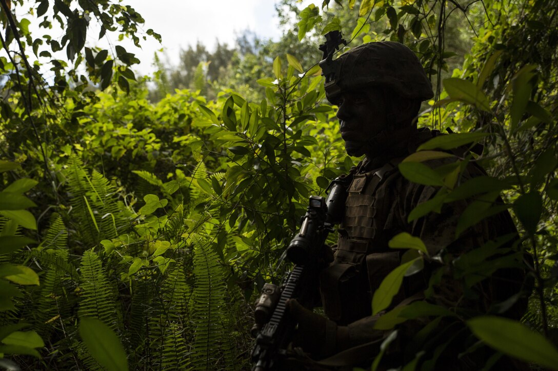 KAHUKU TRAINING FACILITY – Lance Cpl. Anthony Acedo, a rifleman with Alpha Company, 1st Battalion, 7th Marine Regiment, and a Tuscon, Arizona, native, provides security during a patrol as part of a training exercise aboard the Kahuku Training Facility, Sept. 20, 2016. The exercise is part of a 7-week-long training event known as the Advance Infantry Course. The Advance Infantry Course, which is conducted by the Advance Infantry Battalion, Detachment Hawaii, is an advanced 0311 (Rifleman) Military Occupational Specialty course for squad leaders who are currently serving in the operating field. Originally only for 3rd Marine Division, the course here has opened up to various infantry units throughout the Marine Corps. Marines start with a week of proofing their prerequisites that are required for the course, confirming their basic skill sets, and then spend two weeks in a garrison environment doing course work and physical training routines geared toward the squad leader. Towards the second half of the course, Marines conduct one live fire week, followed by three consecutive weeks in the field, progressing from an urban exercise to a patrolling exercise, with offensive and defensive tactics. Marines trained in multiple areas on the island, from high in the mountains of the Kahuku Training Facility to the Military Operation in Urban Terrain facilities on Marine Corps Training Area Bellows. (U.S. Marine Corps Photo by Lance Cpl. Jesus Sepulveda Torres)