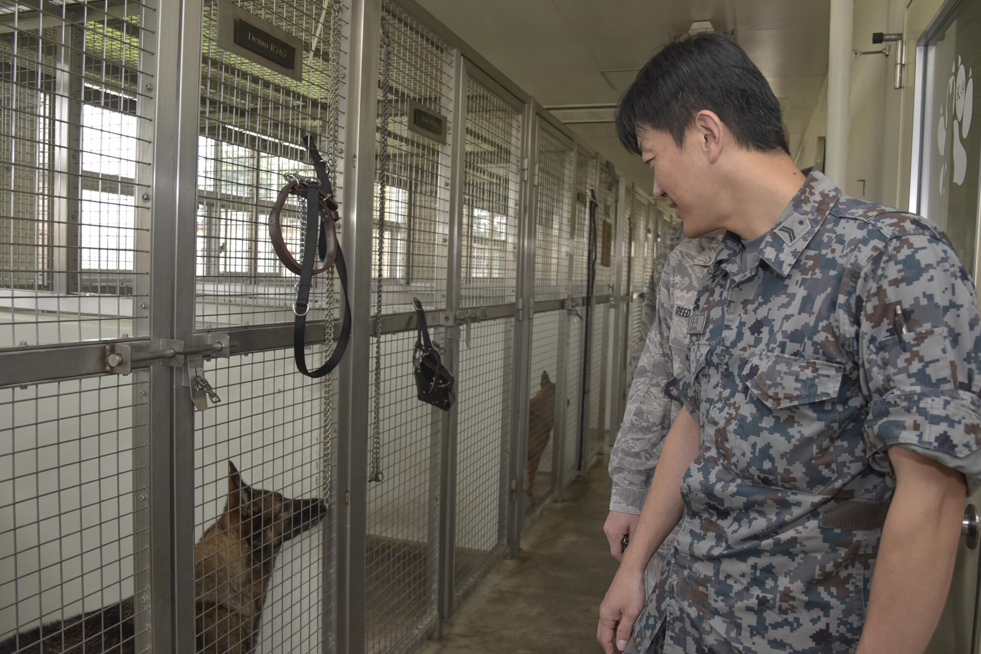 Japan Air Self-Defense Force Tech. Sgt. Takumi Hasegawa, Flight Information Squadron air operation, observes a military working dog during the Bilateral Exchange Program at Yokota Air Base, Japan, Sept. 28, 2016. The program is designed to strengthen the US-Japan partnership and expand interoperability between the U.S. Air Force and JASDF through hands-on experience. (U.S. Air Force photo by Machiko Imai/Released)