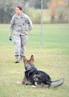 Senior Airman Amanda Puryear, 5th Security Forces Squadron military working dog handler, plays fetch with MWD Deny at Minot Air Force Base, N.D., Sept. 22, 2016. A form of recreational exercise is required for MWD a minimum of seven hours each month to ensure their health and readiness. (U.S. Air Force photo/Senior Airman Kristoffer Kaubisch)