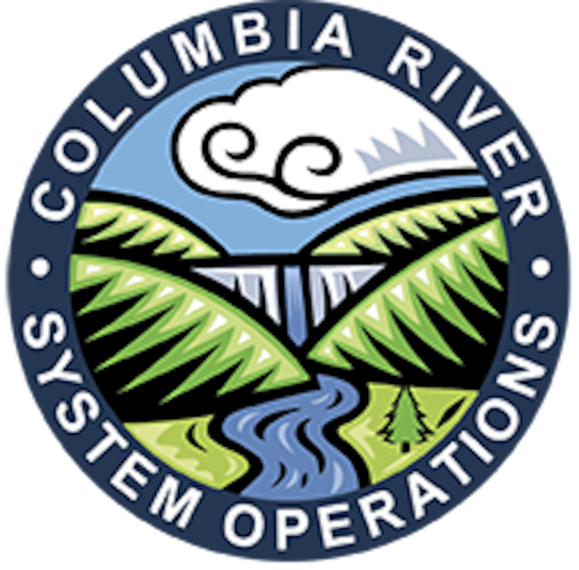 Columbia River System Operations logo. In accordance with the National Environmental Policy Act, the U.S. Army Corps of Engineers, Bureau of Reclamation, and Bonneville Power Administration, referred to as the Action Agencies, intend to prepare an environmental impact statement (EIS) on the Columbia River System operations and configurations for 14 federal projects in the interior Columbia Basin.