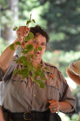 Park Ranger Viola Bramel holds up a tree branch and identifies it to her audience during the  Beginning Bridges Five Senses and Solar Power Day at West Hill Dam in Massachusetts on July 20, 2016.  