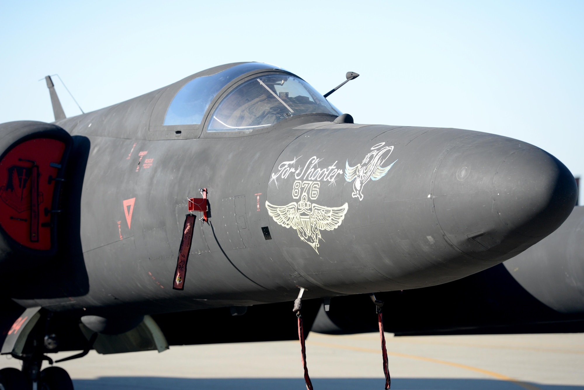 Nose art is painted on a U-2 Dragon Lady on display for the memorial service of Lt. Col. Steve “Shooter” Eadie, Sept. 29, 2016, at Beale Air Force Base, California. The number 876 on the nose represents Eadie’s “solo number” known as the first time a pilot flies solo in a U-2 Dragon Lady. (U.S. Air Force photo/Staff Sgt. Bobby Cummings)