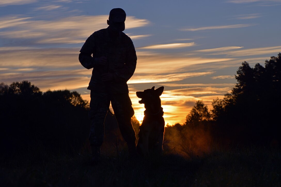 Army Sgt. Astor P720, a military working dog, waits for his next command from Army Spc. Kurtis Swift during obedience training at the Panzer Local Training Area in Boeblingen, Germany, Sept. 29, 2016. The training helps instill trust and loyalty between a working dog and his or her handler. Army photo by Jason Johnston