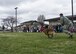 A security force K-9 unit with the 436th Security Forces Squadron demonstrates taking down a suspect on Dover Air Force Base, Del., April 1, 2017. Family members attended a Month of the Military Child event involving tours of a C-5M Super Galaxy, C-17 Globemaster III, fire station and a demonstration by military working dogs. (U.S. Air Force photo/Staff Sgt. Renee M. Jackson)