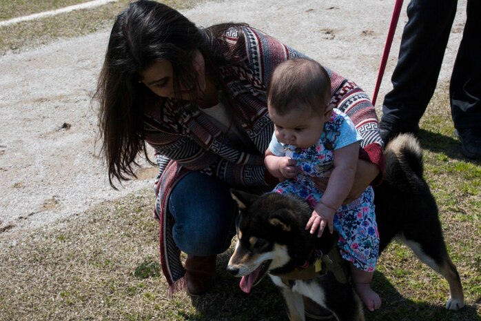 Veronica Kerrigan, American Red Cross field Coordinator, holds Emi Vazquez as she sits on her dog at the Active-Duty Fund Drive Dog Parade at Marine Corps Air Station Iwakuni, Japan, April 1, 2017. The Navy-Marine Corps Relief Society held the event to bring the community together and increased awareness of its fund drive. Eleven dog owners registered for the event and walked from Penny Lake to the harbor gate and back. They also participated in a dog-costume contest. (U.S. Marine Corps photo by Lance Cpl. Gabriela Garcia-Herrera)