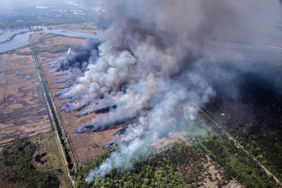 A controlled forest fire is used for aerial firefighting exercise Operation Vigilant Guard in Ellabell, Ga., March 29, 2017. Army photo by Spc. Jesse Coggins 