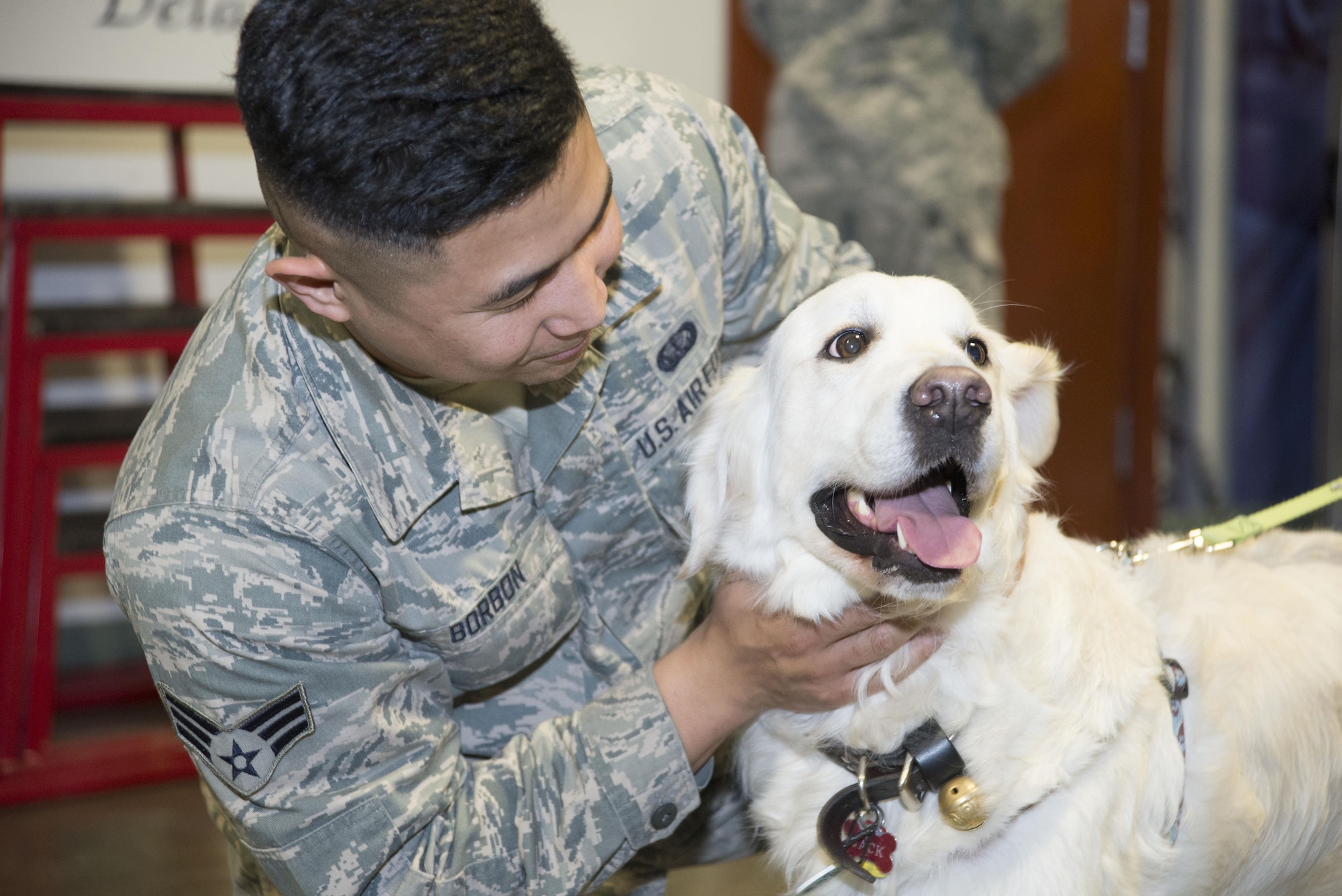 Senior Airman Michael Burbon, Air Force Mortuary Affairs Operations dress and restoration specialist, pets “Jack,” a PAWS for People dog, during a visit from PAWS for People March 28, 2017, at AFMAO on Dover Air Force Base, Del. Burdon is deployed to AFMAO from the 87th Force Support Squadron at Joint Base McGuire-Dix-Lakehurst. (U.S. Air Force photo by Staff Sgt. Jared Duhon)