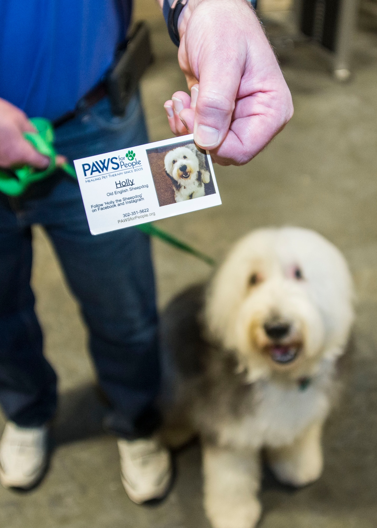 “Holly, ” a PAWS for People dog, and her human volunteer, Bob Hairgrove, show her card March 28, 2017, at Air Force Mortuary Affairs Operations on Dover Air Force Base, Del. “Holly” and Hairgrove are a part of the PAWS for People nonprofit  organization, which has the mission to lovingly provide elders, children, and folks with disabilities individualized, therapeutic visits with a gentle, affectionate pet. (U.S. Air Force photo by Staff Sgt. Jared Duhon ) 