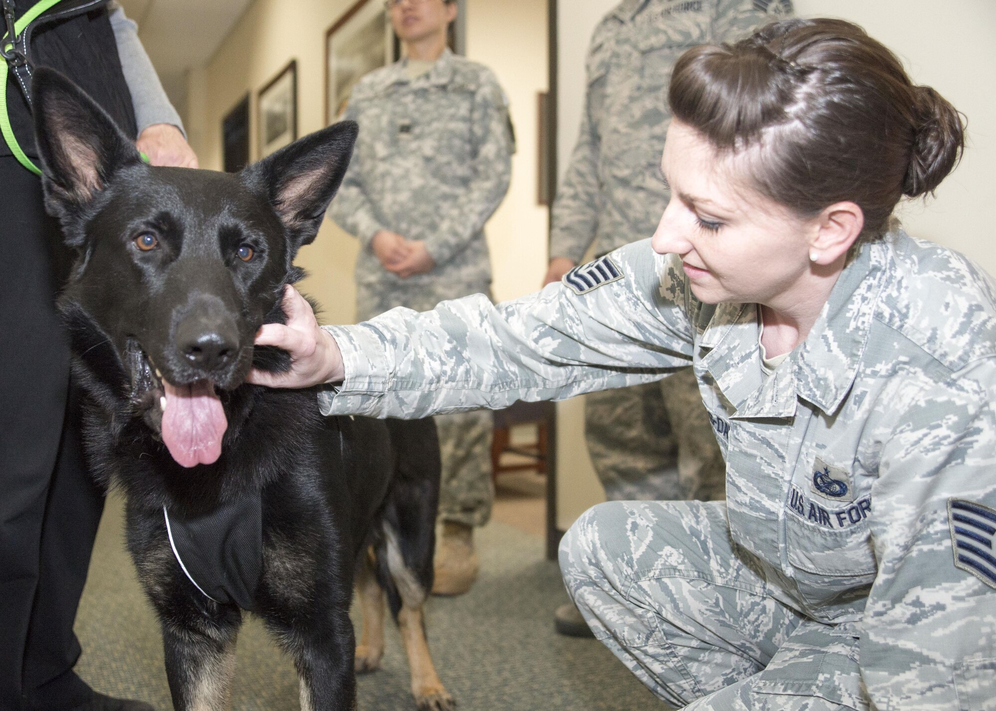 Tech. Sgt. Holly Roberts-Davis, Air Force Mortuary Affairs Operations public affairs NCO in-charge, pets “R.J.,” a PAWS for People dog, during a visit from PAWS for People, March 28, 2017, at AFMAO on Dover Air Force Base, Del. The goal of the visit was to allow members of the AFMAO team to relieve stress with some furry friends and was arranged by the mental health team deployed to AFMAO. (U.S. Air Force photo by Staff Sgt. Jared Duhon)