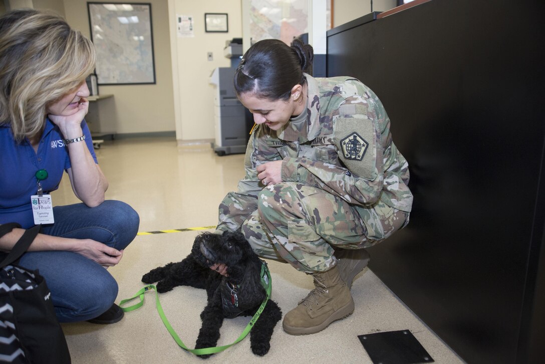 Army Sgt. Kristia Trinidad, Air Force Mortuary Affairs Operations case manager Army liaison, pets “Tilly” during a visit from PAWS for People March 28, 2017, at AFMAO on Dover Air Force Base, Del. In total, seven PAWS for People volunteers with various breeds of dogs visited AFMAO. (U.S. Air Force photo by Staff Sgt. Jared Duhon)