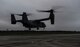 A CV-22 Osprey descends on the Landing Helicopter Deck at Duke Field, Fla., April 3, 2017. The LHD will serve as part of the aircraft carrier qualification, decreasing the amount of time 8th Special Operations Squadron and 8th Aircraft Maintenance Unit personnel spend off station to fulfill the requirement. The LHD has the potential to save the Air Force $2.2 million annually. (U.S. Air Force photo by Airman 1st Class Isaac O. Guest IV)