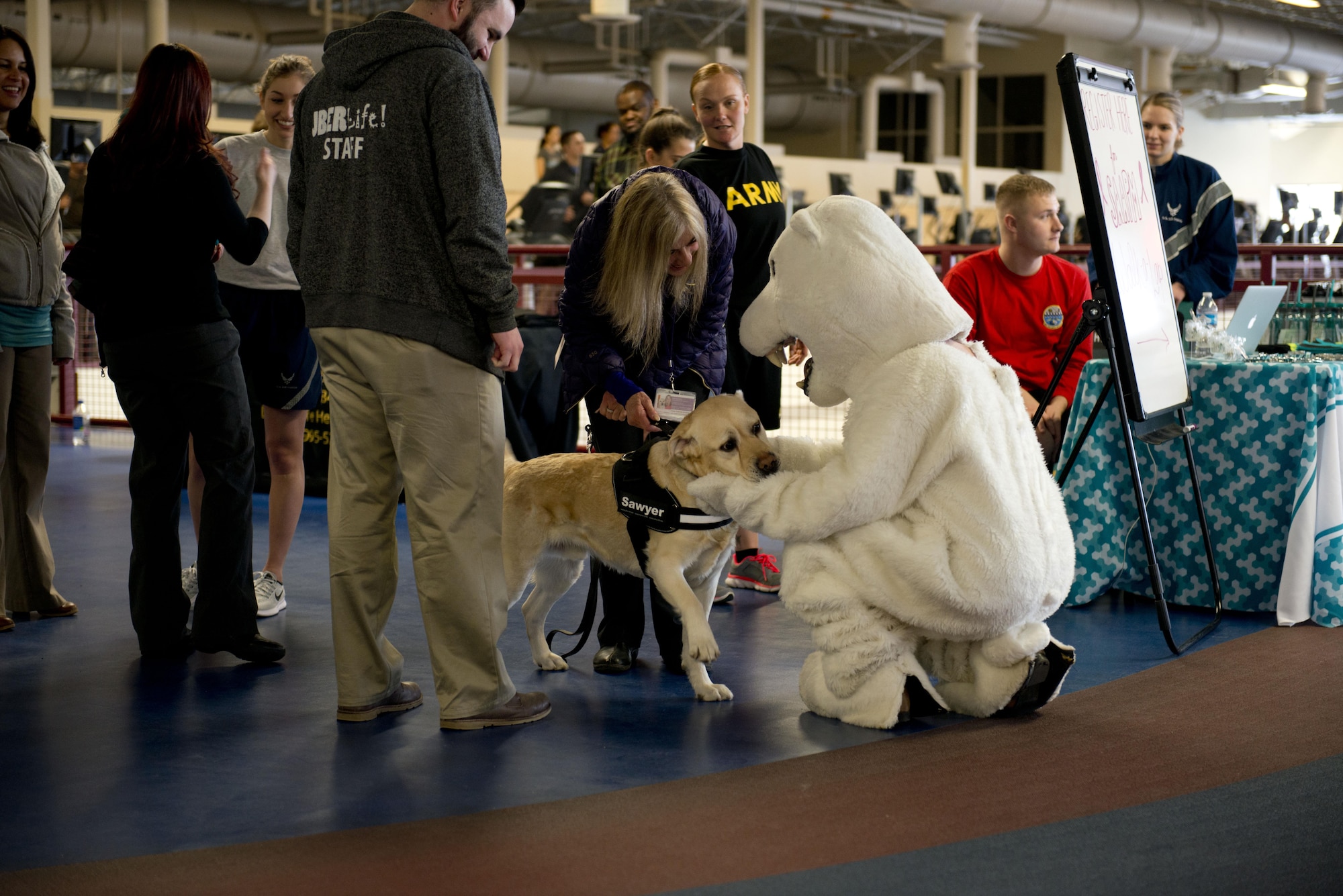 As crowds begin to gather for the Sexual Assault Prevention and Response Walk-A-Lap event, March 5 at the Elmendorf Fitness center, Jay the Bear greets Sawyer, a service dog trained to provide comfort to sexual assault victims. Jay walked his laps with his canine companion.