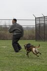 Staff Sgt. Alex Inn, 375th Security Forces Squadron, looks over his shoulder while running from Xxoe, a 375th SFS military working dog, during a demonstration for Junior Reserve Officer Training Corps members at Scott Air Force Base, Illinois, March 28, 2017. Inn was acting as a decoy during the demonstration allowing Xxoe to show a variety of skills such as pursuing and taking down a suspect, performing searches and guarding. (U.S. Air Force photo by Tech. Sgt. Jonathan Fowler)