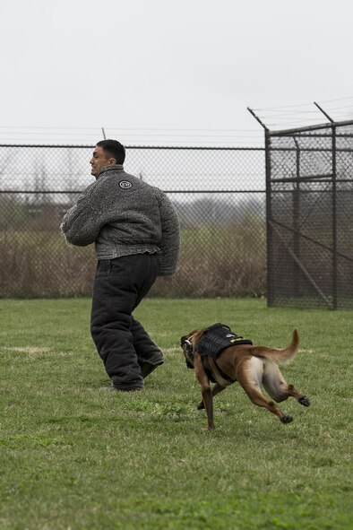 Staff Sgt. Alex Inn, 375th Security Forces Squadron, looks over his shoulder while running from Xxoe, a 375th SFS military working dog, during a demonstration for Junior Reserve Officer Training Corps members at Scott Air Force Base, Illinois, March 28, 2017. Inn was acting as a decoy during the demonstration allowing Xxoe to show a variety of skills such as pursuing and taking down a suspect, performing searches and guarding. (U.S. Air Force photo by Tech. Sgt. Jonathan Fowler)