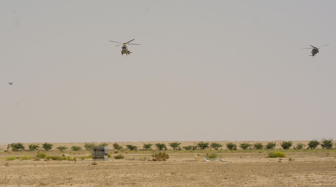 Kuwait- A large crowd of foreign and U.S. dignitaries wait for helicopters to drop off teams to initiate the beginning of their combined special forces demonstration- Qatar, Kuwait, Saudi Arabia and the United States, perform an explosive training mission  proving the successful interoperability of both land and air assets as well as highlighting the vast skills of the varied partner nations part of Operation Eagle Resolve, April 2. 
(Photo by Army Sgt. 1st Class Suzanne Ringle/Released)