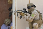 Kuwait- A large crowd of foreign and U.S. dignitaries view teams from their combined special forces- Qatar, Kuwait, Saudi Arabia and the United States, take out combatants during an explosive training mission  proving the successful interoperability of both land and air assets as well as highlighting the vast skills of the varied partner nations part of Operation Eagle Resolve, April 2. 
(Photo by Army Sgt. 1st Class Suzanne Ringle/Released)