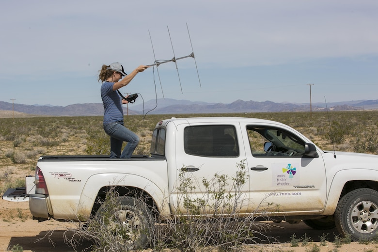 Mary Lane Poe, biologist, Natural Resources and Environmental Affairs, tracks released desert tortoises using directional antennas and receivers at Sand Hill training area aboard Marine Corps Air Ground Combat Center, Twentynine Palms, Calif., April 5, 2017. The release of 50 juvenile tortoises from the Tortoise Research and Captive Rearing Site occurred in March. The program was designed to find effective ways to increase the population of the tortoises on and around the installation as well as solve potential problems that wild tortoises face today. (U.S. Marine Corps photo by Lance Cpl. Dave Flores)